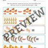Decomposition Activity Pack