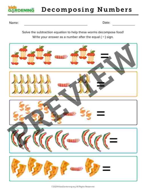 Decomposition Activity Pack