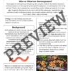 Decomposition Activity Pack