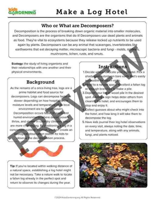 Decomposition Activity Pack