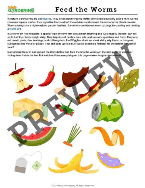 Decomposition Activity Pack