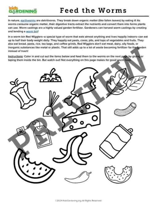 Decomposition Activity Pack