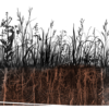 Digging-into-soil-featured.png Digging into Soil