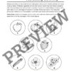 Flower Fun Activity Pack
