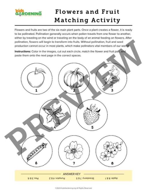 Flower Fun Activity Pack