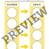 Flower Fun Activity Pack