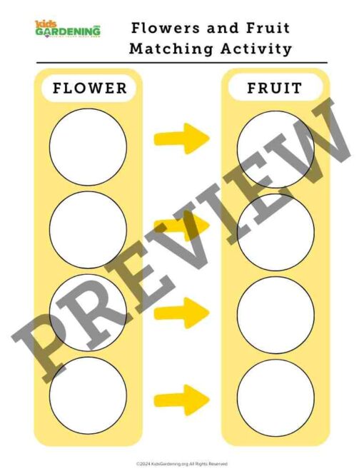 Flower Fun Activity Pack