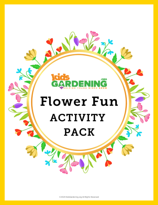 Flower Fun Activity Pack