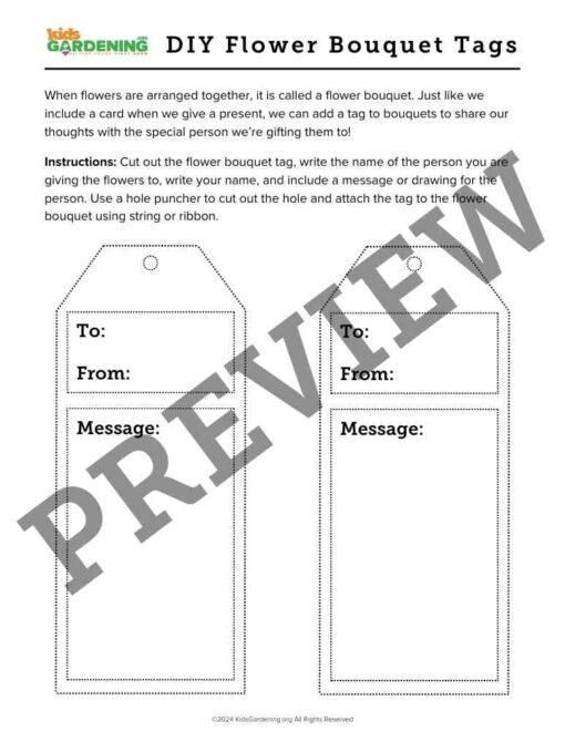 Flower Fun Activity Pack