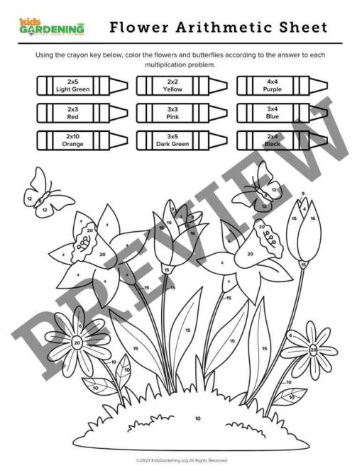 Flower Fun Activity Pack