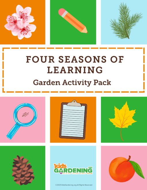 Four Seasons of Learning Activity Pack
