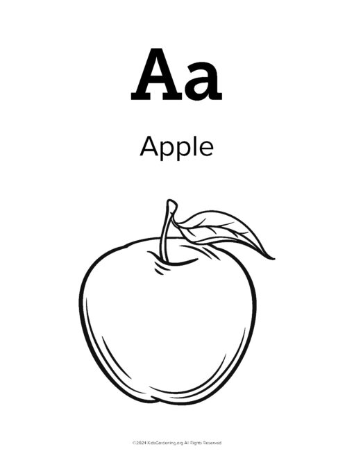 Garden-Alphabet-Coloring-Book_Page_02.jpg The Garden Alphabet