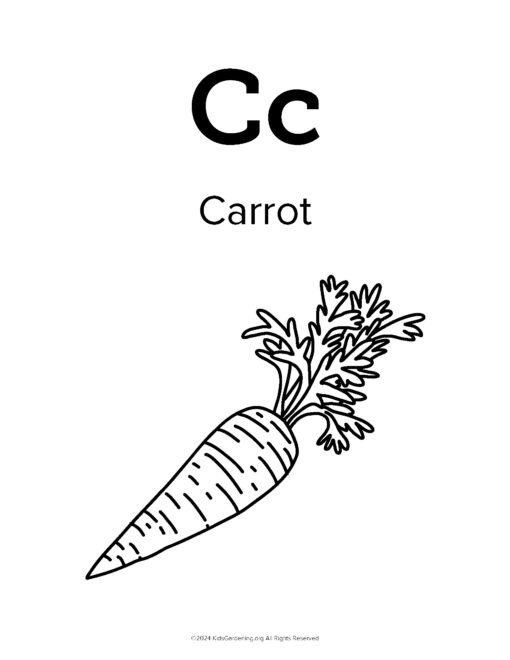 Garden-Alphabet-Coloring-Book_Page_04.jpg The Garden Alphabet