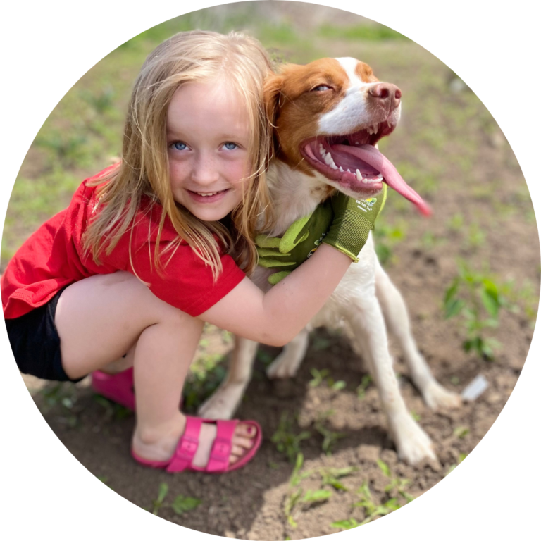 A child wearing a red shirt and shorts hugs a panting brown and white dog.