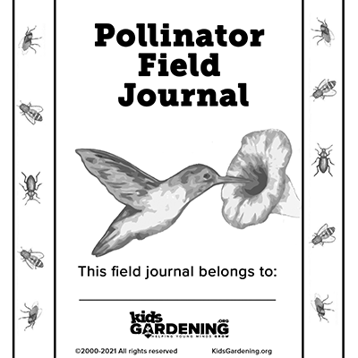 Interactive Pollinator Field Journal