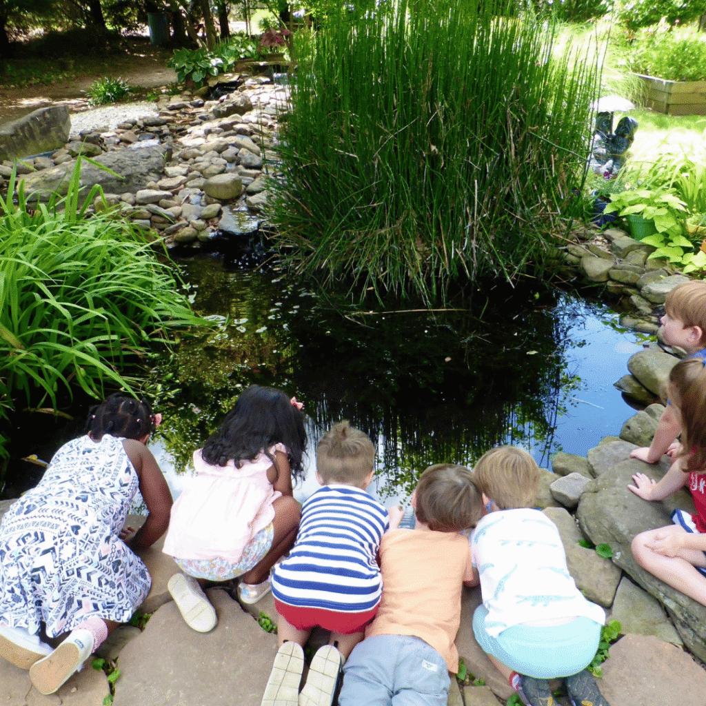 Children gathered around a small pond, peering over the side.