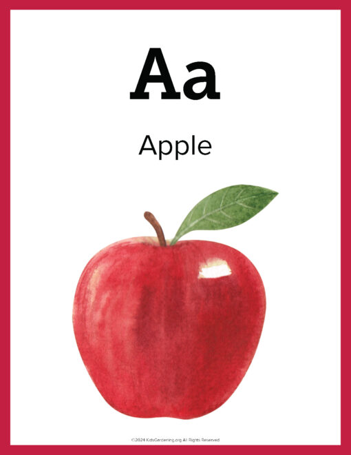 Printable-Garden-Alphabet_Page_02.jpg The Garden Alphabet