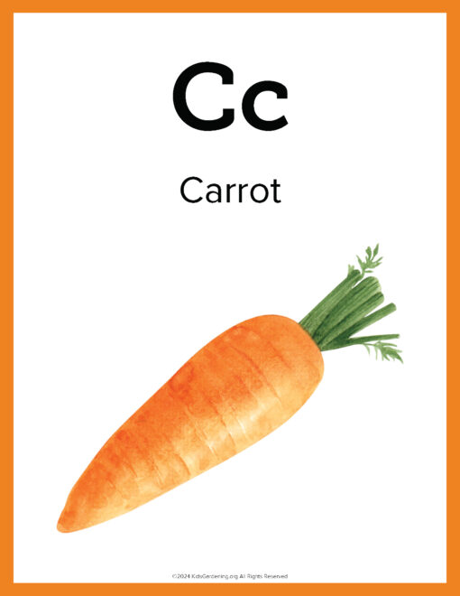 Printable-Garden-Alphabet_Page_04.jpg The Garden Alphabet