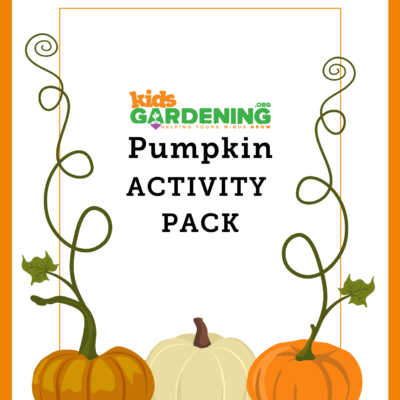 Pumpkin Activity Pack