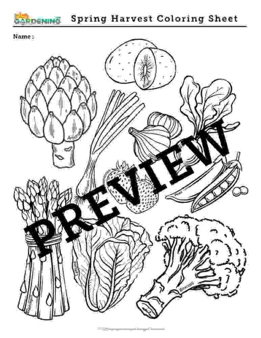 Spring Garden Activity Pack