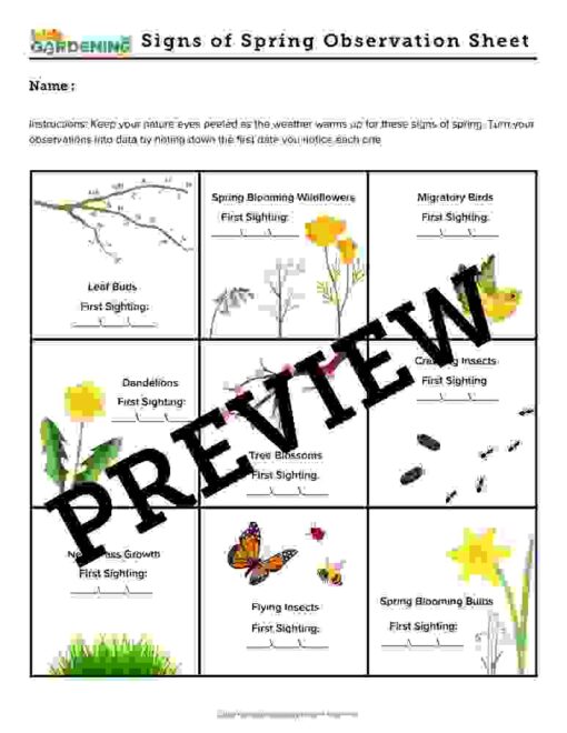 Spring Garden Activity Pack