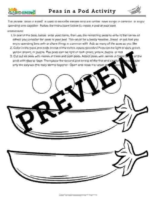 Spring Garden Activity Pack