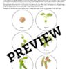 Spring Garden Activity Pack