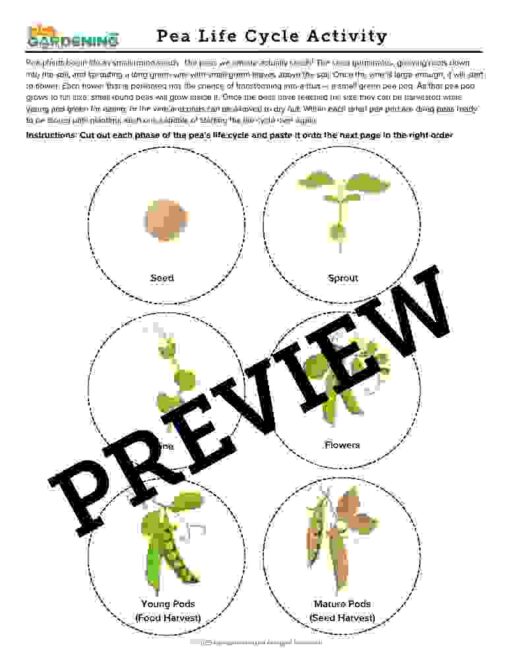 Spring Garden Activity Pack