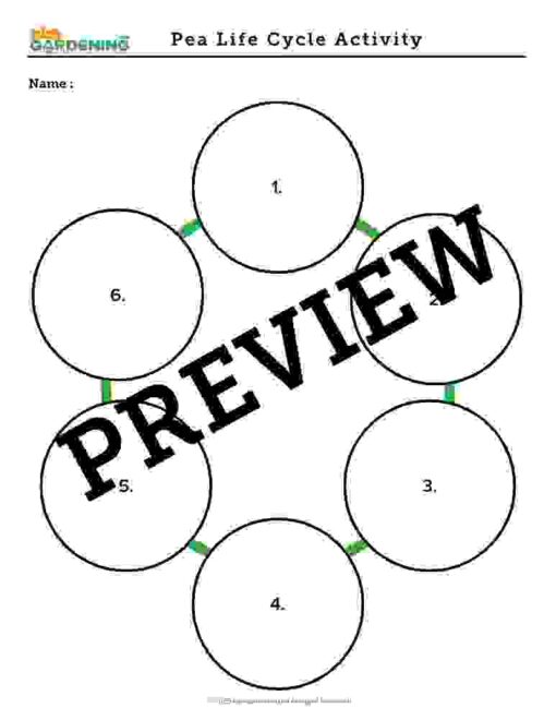 Spring Garden Activity Pack