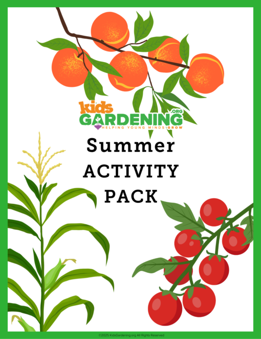 Summer-Content-Club-Activity-Pack_COVER-1.png Summer Activity Pack