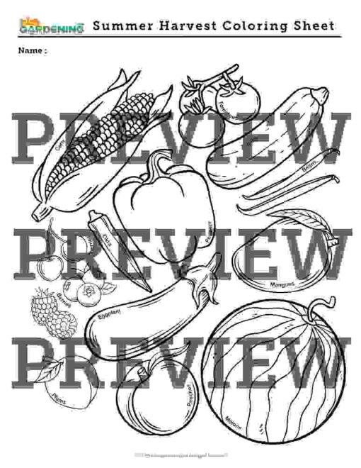 Summer-content-club-preview-page-2-1.jpg Summer Activity Pack