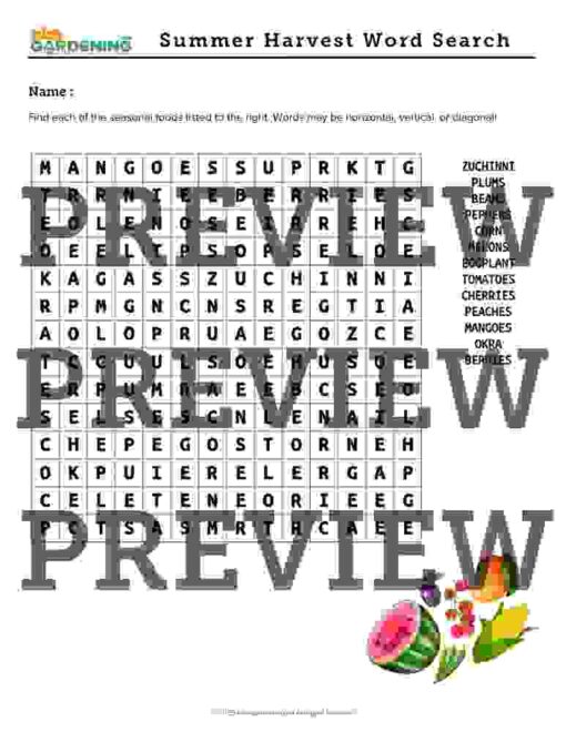 Summer-content-club-preview-page-3-1.jpg Summer Activity Pack