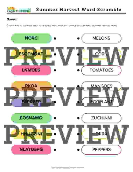Summer-content-club-preview-page-4-1.jpg Summer Activity Pack
