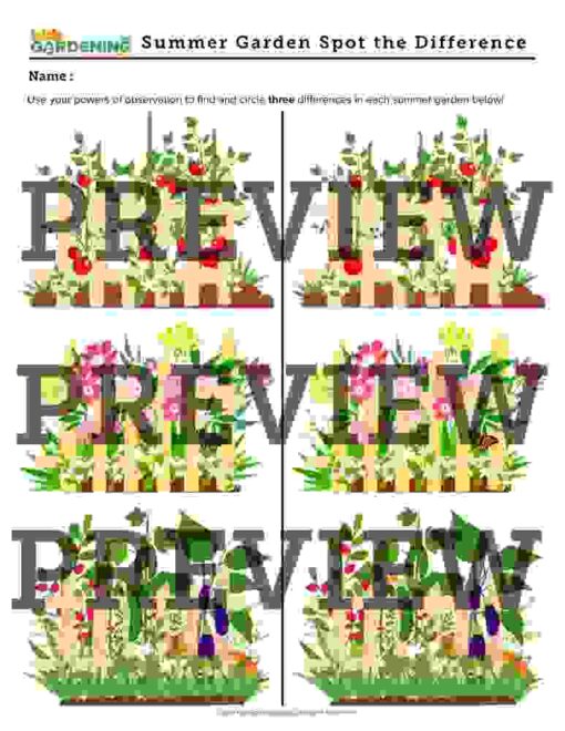 Summer-content-club-preview-page-5-1.jpg Summer Activity Pack