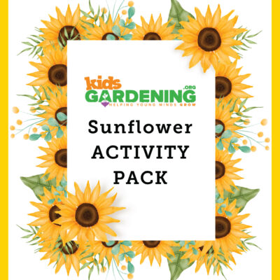 Sunflower-CC-Pack-COVER-scaled-1.jpg Sunflower Activity Pack