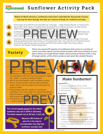 Sunflower Activity Pack