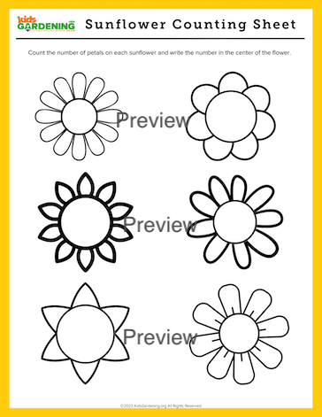 Sunflower Activity Pack