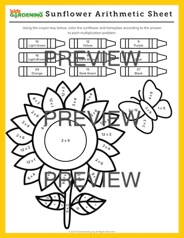 Sunflower Activity Pack