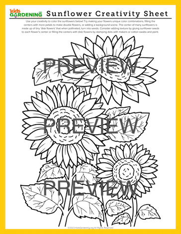 Sunflower Activity Pack