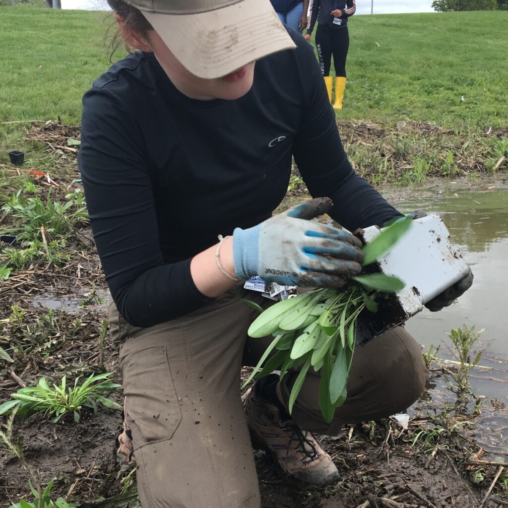 A person in a tan hat, holding plants and squatting down