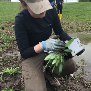 Administradores de jardines waterwise