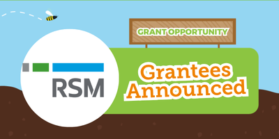 RSM winners announced